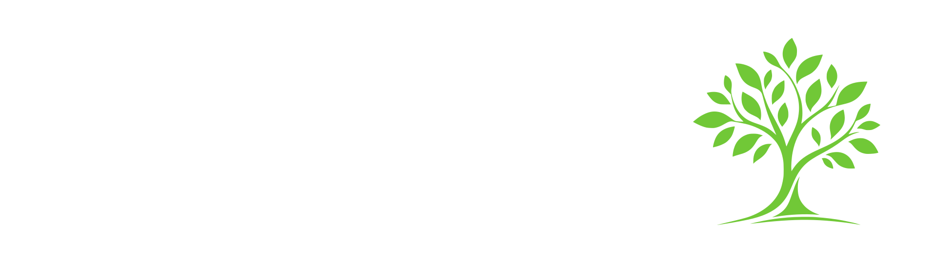LA PIONERA